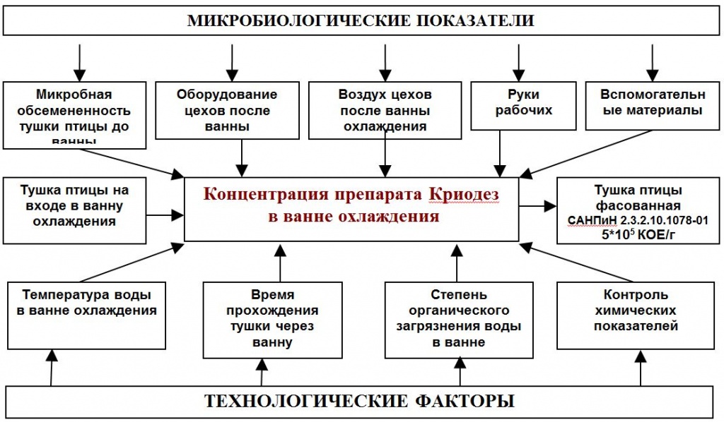 график2.JPG